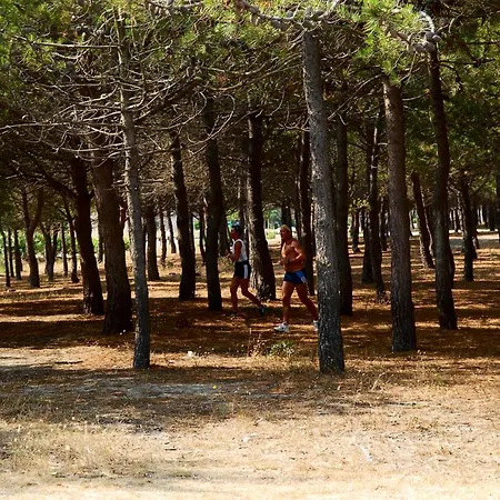 Maison Barcarès 4 à 7 Personnes Climatisée Hébergement de vacances Le Barcarès